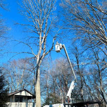 Robert Burk Tree & Landscaping - Landscaping Near Me Robert Burk Tree & Landscaping - Landscaping Near Me