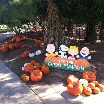 Ellis Pottery - Pumpkin patch! - Home & Garden Near Me - Longview, Texas