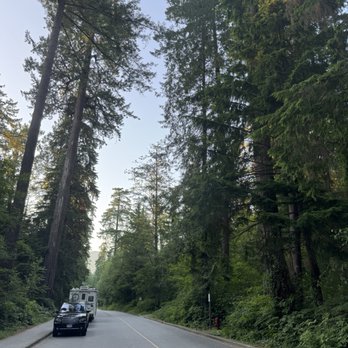 Stanley Park - Parking along the street between the trails - Parks Near Me - Vancouver, British Columbia