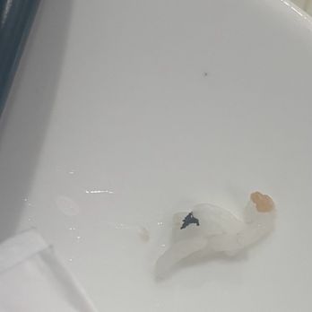 MJ Valley Restaurant - Unidentified black object (cooked bug?) checked and it's definitely not seasoning - Seafood Near Me - Alhambra, California MJ Valley Restaurant - Unidentified black object (cooked bug?) checked and it's definitely not seasoning - Seafood Near Me - Alhambra, California
