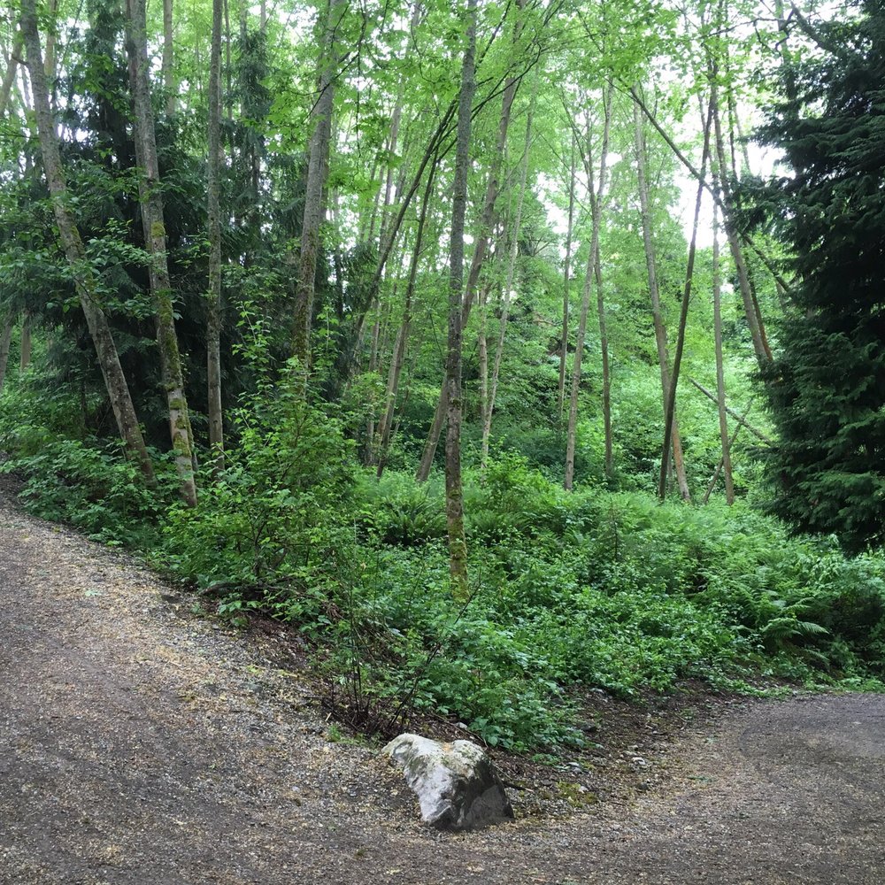 Carkeek Park - Parks Near Me - Seattle, Washington