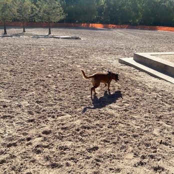 Johnny Steele Dog Park - Dog Parks Near Me - Houston, Texas Johnny Steele Dog Park - Dog Parks Near Me - Houston, Texas