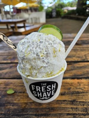 The Fresh Shave by null