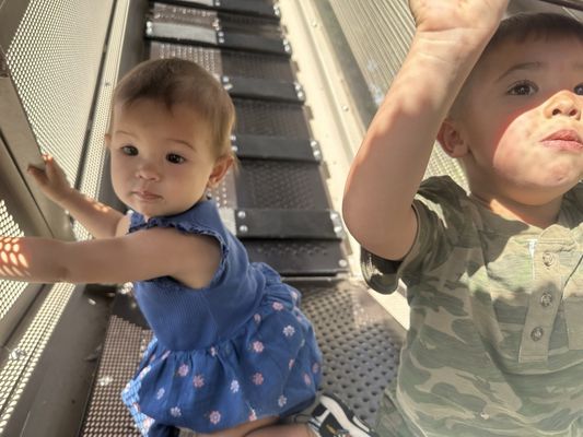 Pioneer Park by null