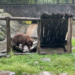 Trailside Museums & Zoo