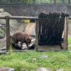 Trailside Museums & Zoo gift card