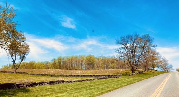 Brandywine Creek State Park by null
