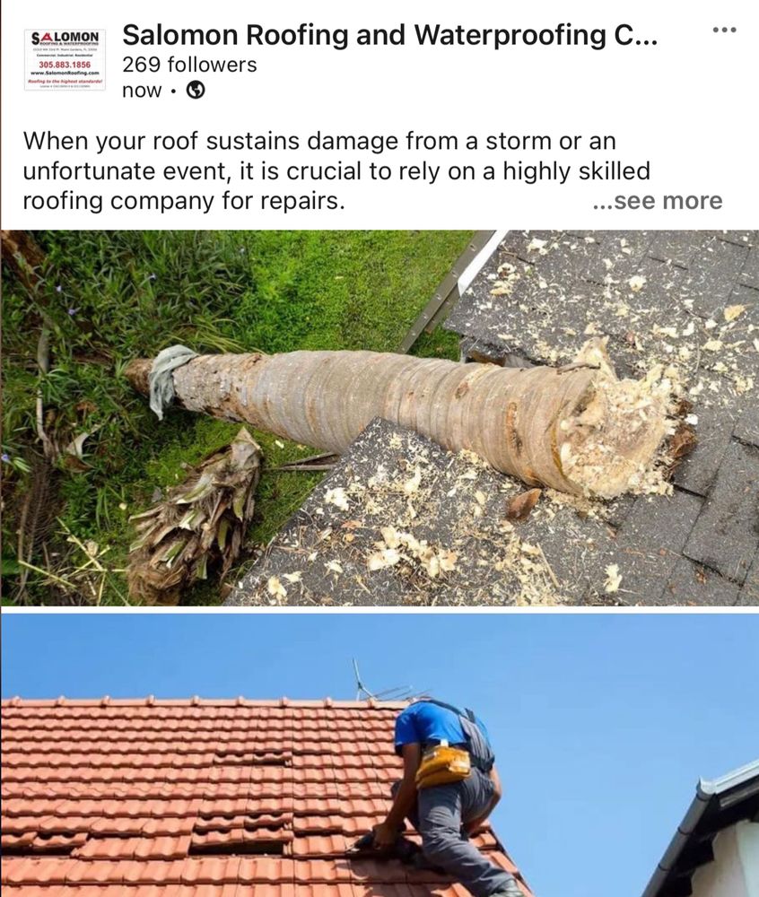 Slide of Salomon Roofing & Waterproofing