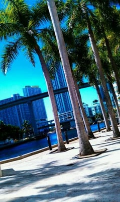 Hyatt Regency Miami by null