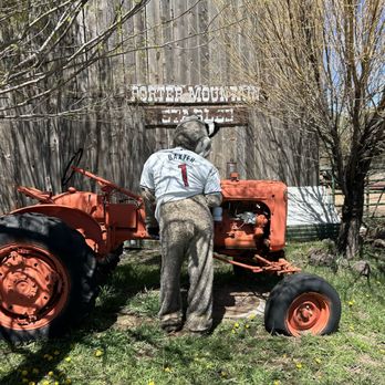 Porter Mountain Stables - Horseback Riding Near Me - Lakeside, Arizona