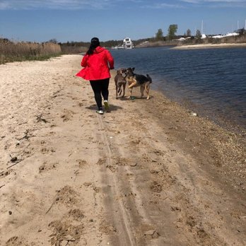 Mud Creek Dog Park - Dog Parks Near Me - East Patchogue, New York