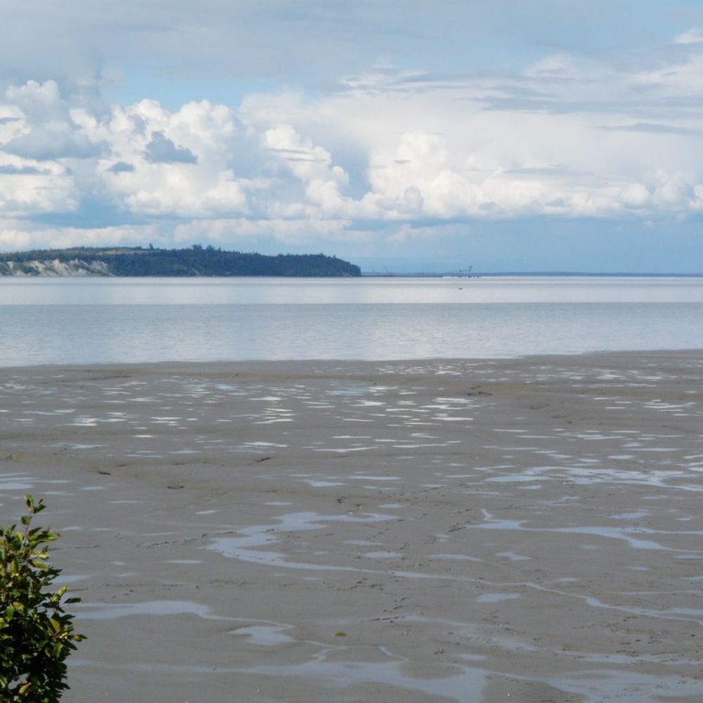 Lyn Ary Park - A view of Fire Island and its port with the mud flats in the foreground. - Parks Near Me - Anchorage, Alaska Lyn Ary Park - A view of Fire Island and its port with the mud flats in the foreground. - Parks Near Me - Anchorage, Alaska
