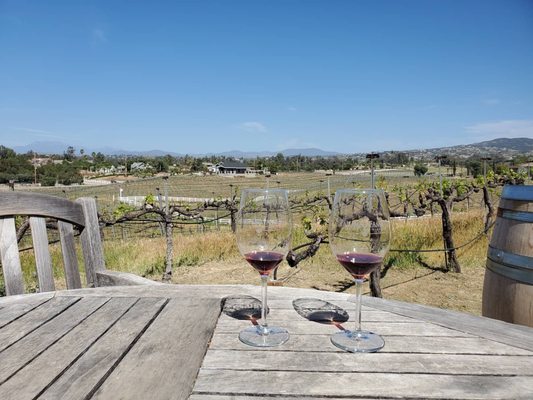 Palumbo Family Vineyard by null