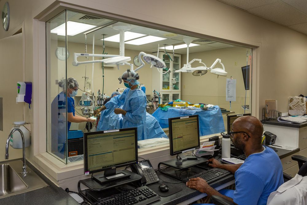 Animal Medical Hospital & Urgent Care - pet boarding facility in Charlotte, NC