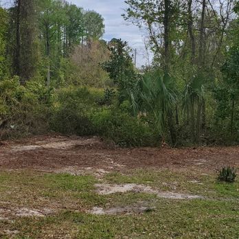 A Integrity Tree Surgeons - Tree Services Near Me - Jacksonville, Florida