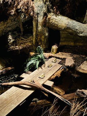 Omaha's Henry Doorly Zoo and Aquarium by null