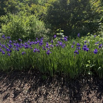 Cheekwood - Botanical Gardens Near Me - Nashville, Tennessee