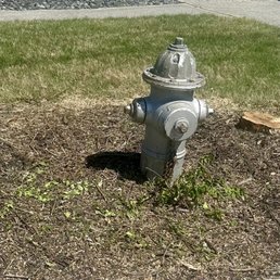 These are the two (2) crepe myrtles they cut down and left stumps These are the two (2) crepe myrtles they cut down and left stumps