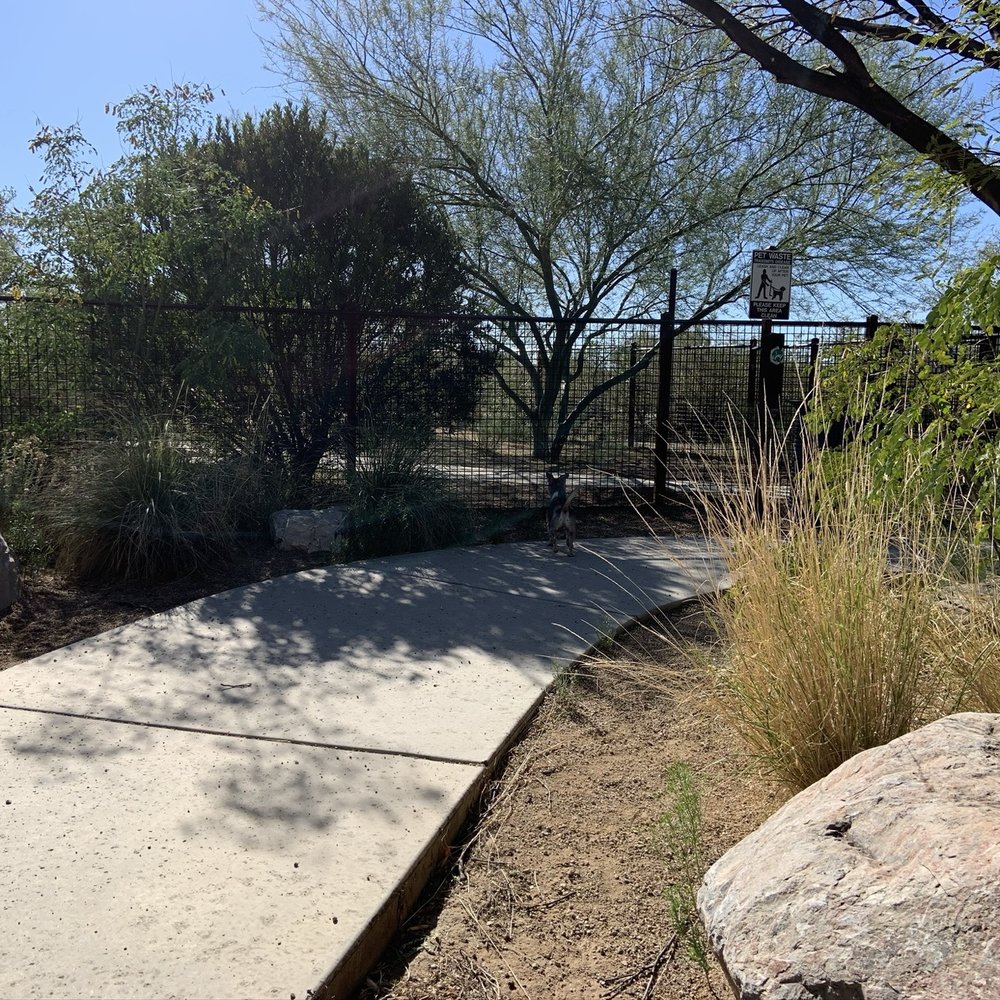 Purple Heart Park: Ivan's Spot - Dog Parks Near Me - Tucson, Arizona Purple Heart Park: Ivan's Spot - Dog Parks Near Me - Tucson, Arizona