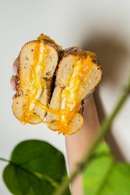 Mitch's Downtown Bagel Cafe by null