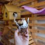 Photo of Cat Cafe Manila