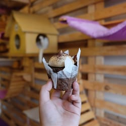 Cat Cafe Manila