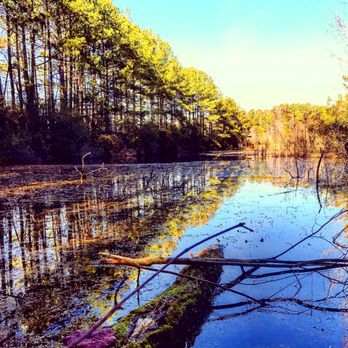 Sandy Bottom Nature Park - Parks Near Me - Hampton, Virginia Sandy Bottom Nature Park - Parks Near Me - Hampton, Virginia