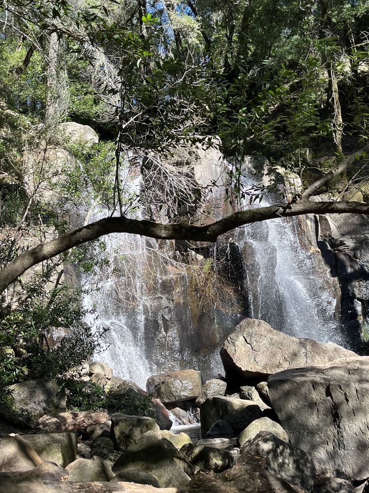 LINDA FALLS PRESERVE HIKING 17 Photos Linda Falls Ter, Angwin