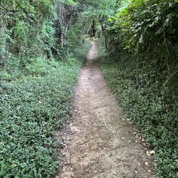 Powhite Park - Entry path