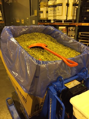 Food Lifeline by null