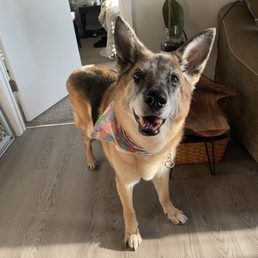 Meeko