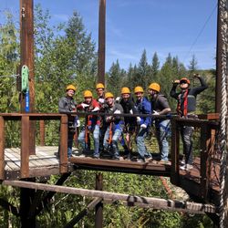 Ziplinex