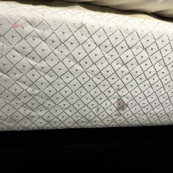 Primm Valley Resort - Mattress box spring was filled with spots like this. - Hotels Near Me - Primm, Nevada Primm Valley Resort - Mattress box spring was filled with spots like this. - Hotels Near Me - Primm, Nevada