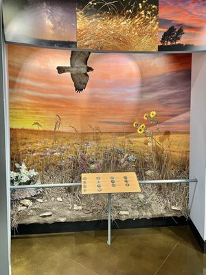 Tallgrass Prairie National Preserve by null