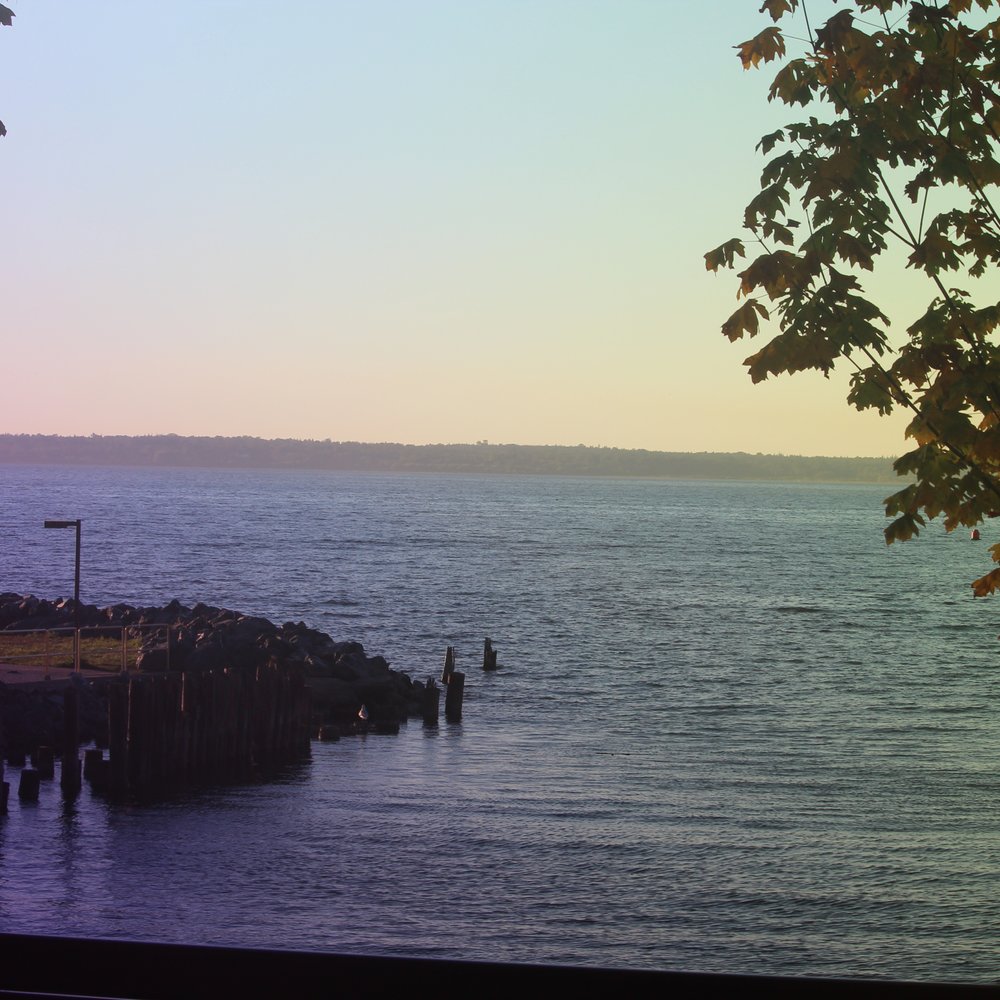 Boulevard Park - Parks Near Me - Bellingham, Washington Boulevard Park - Parks Near Me - Bellingham, Washington