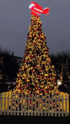 The Hangar Food Hall by null