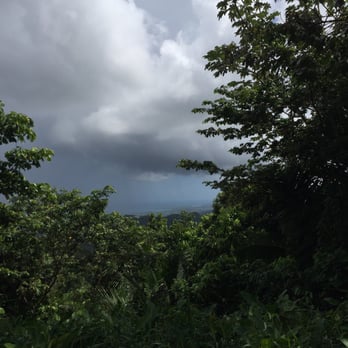 El Yunque Rainforest - Hiking Near Me - Luquillo, Puerto Rico