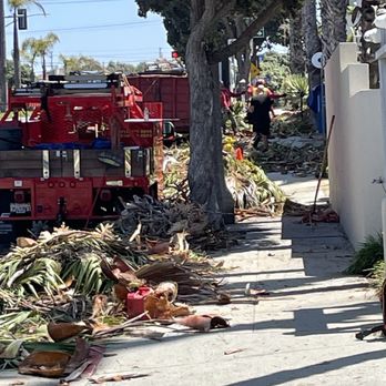 Jerry's Tree Service - Unsafe work - Tree Services Near Me - Inglewood, California Jerry's Tree Service - Unsafe work - Tree Services Near Me - Inglewood, California