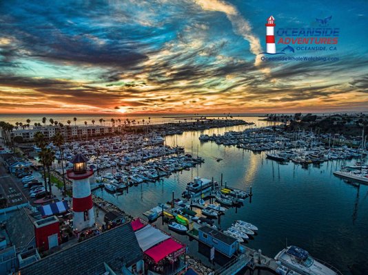 Oceanside Adventures by null