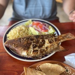 Los Abuelos - Grilled red snapper