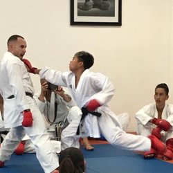 Bushido Kai Karate-do - Opportunities are available to compete at a National level and International level