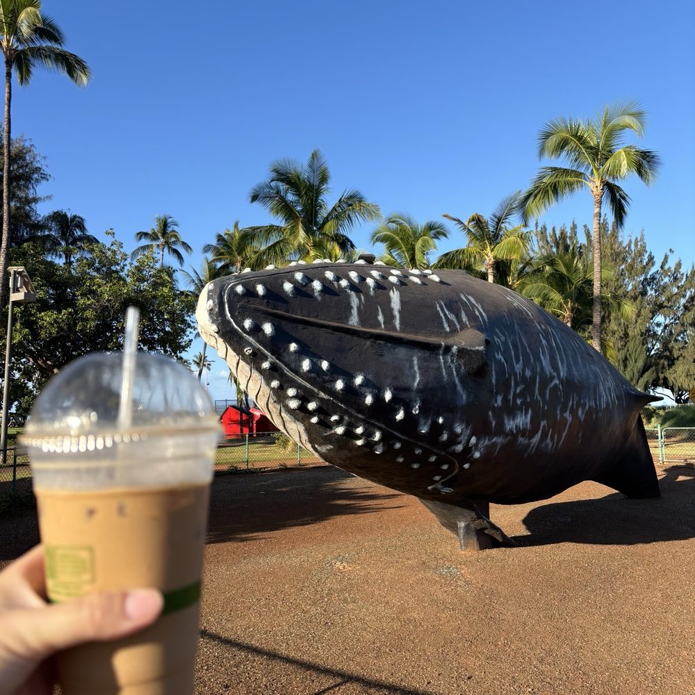 Lava Java Coffee Roasters of Maui - 20 oz iced macadamia nut latte - Coffee & Tea Near Me - Kihei, Hawaii Lava Java Coffee Roasters of Maui - 20 oz iced macadamia nut latte - Coffee & Tea Near Me - Kihei, Hawaii