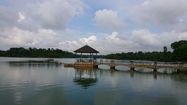 Lower Peirce Reservoir Park by null