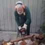 Photo of Jason's Tree Service