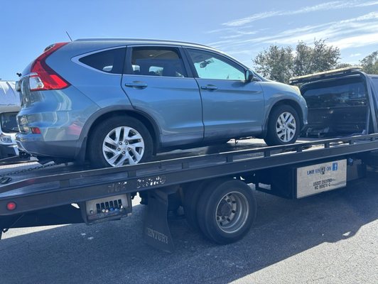 The ELITE Total Car Care