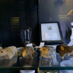 Center for PostNatural History