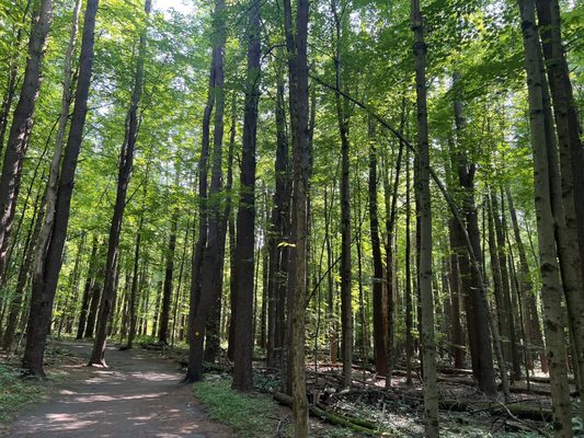 Saratoga Spa State Park by null