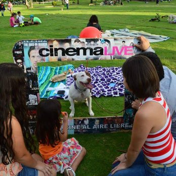 Cinema Live - Pop-up Shops Near Me - Zapopan, JAL Cinema Live - Pop-up Shops Near Me - Zapopan, JAL