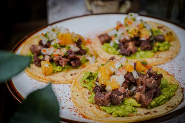 Fauna Latin Flavor by null