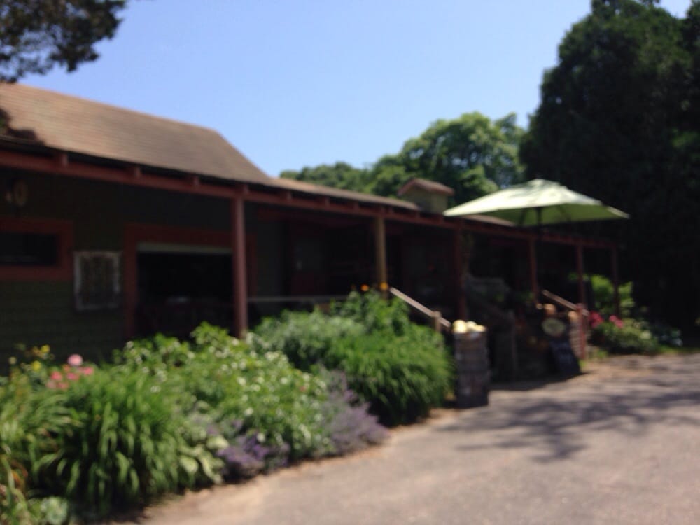 FIDDLEHEAD FARM Updated June 2024 632 State Rd, Vineyard Haven, Massachusetts Grocery